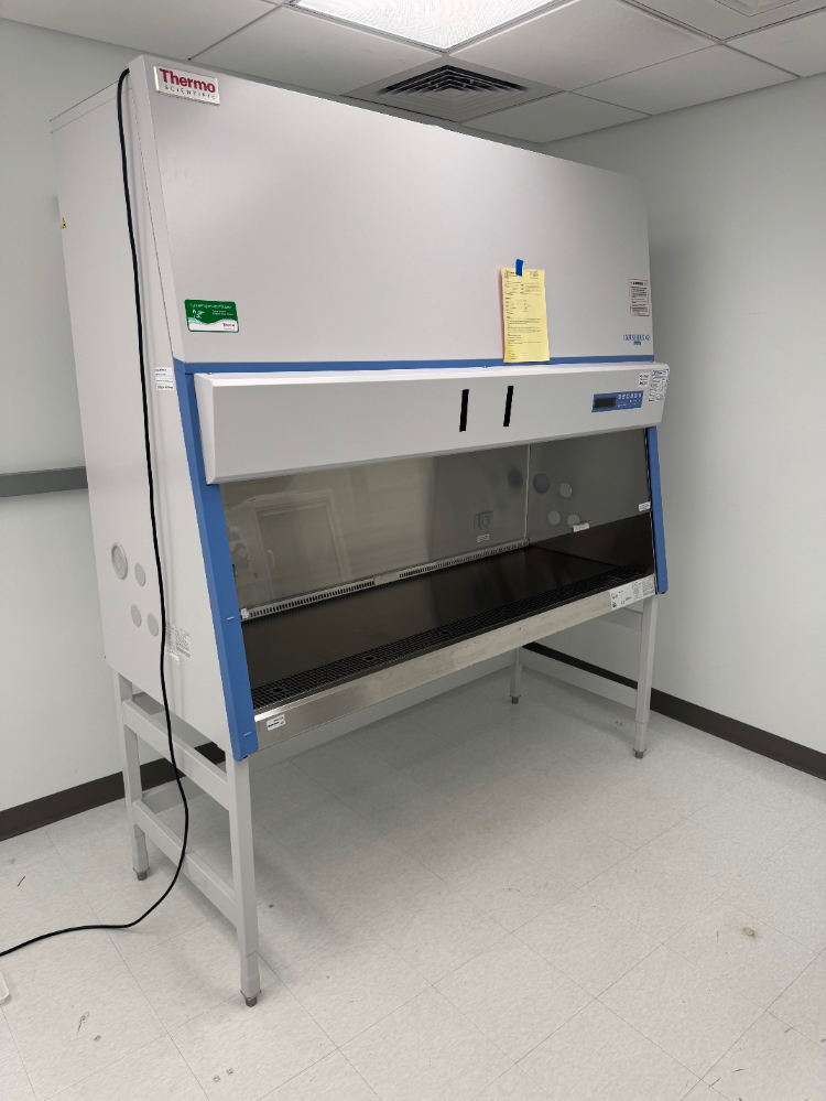 Image of Thermo 1300 Series A2 6' BioSafety Cabinet